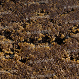 Cannalab ''Ice-O-Lator'' 47% CBD Hash