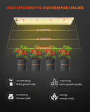 2024 Newest Version Spider Farmer® SF300 33W LED Seedling Grow Light