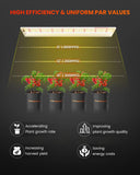 2024 Newest Version Spider Farmer® SF600 74W LED Seedling Grow Light