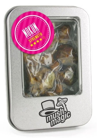 Mush Magic ''Mokum'' Magic Truffles 15g