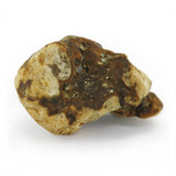 Mush Magic ''Atlantis'' Magic Truffles 15g