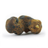 Mush Magic ''Fantasia'' Magic Truffles 15g