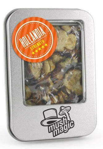 Mush Magic ''Hollandia'' Magic Truffles 15g