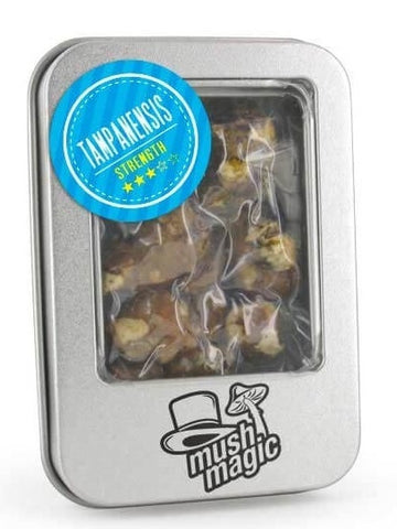 Mush Magic ''Tampanensis'' Magic Truffle 15g