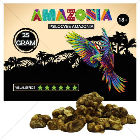 Psilocybe ''Amazonia'' Magic Truffels 25 grams